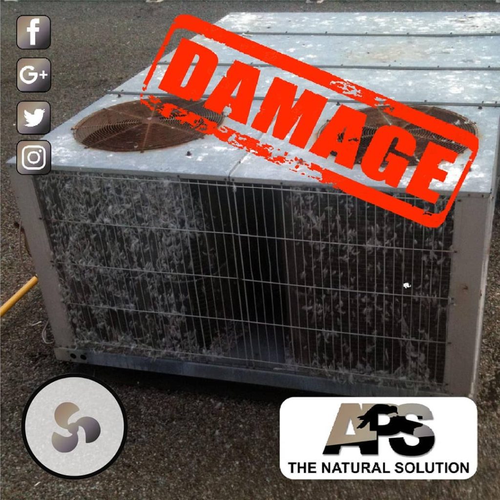 Instagram post from avian_pest_solutions. This post is in position 2.