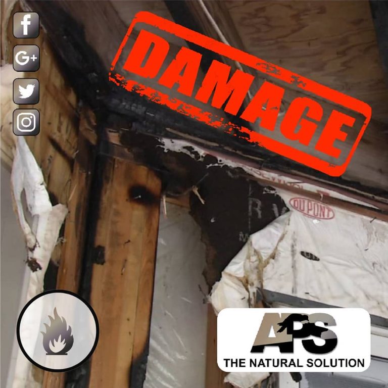 Instagram post from avian_pest_solutions. This post is in position 4.