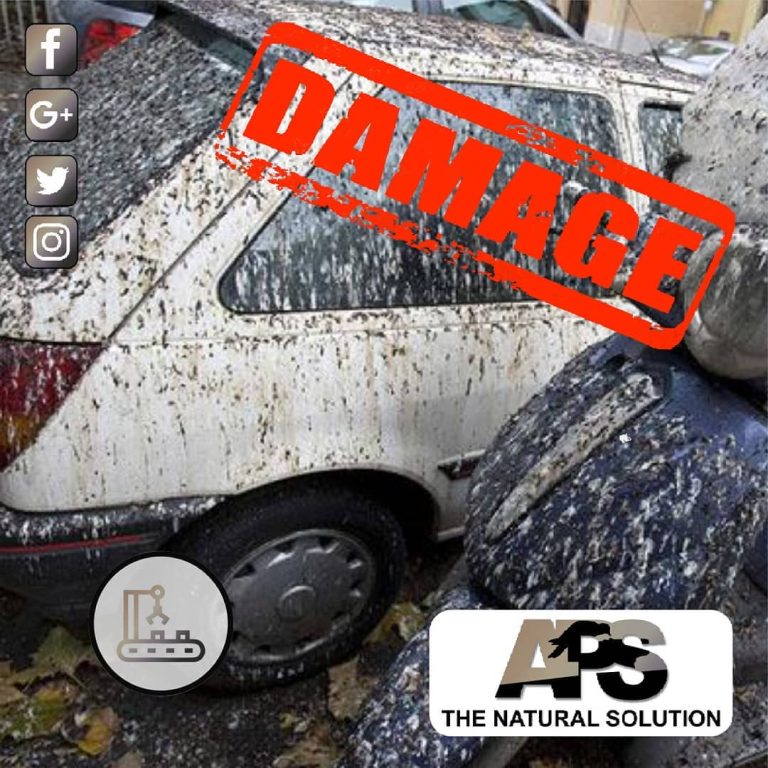 Instagram post from avian_pest_solutions. This post is in position 5.